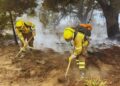 Conaf inicia el proceso de postulaciones para crear brigadas de combate a incendios forestales en la región de Valparaíso.