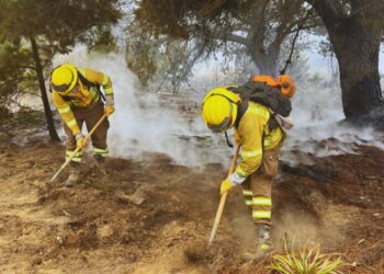 Conaf inicia el proceso de postulaciones para crear brigadas de combate a incendios forestales en la región de Valparaíso.