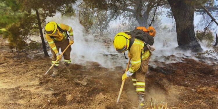 Conaf inicia el proceso de postulaciones para crear brigadas de combate a incendios forestales en la región de Valparaíso.