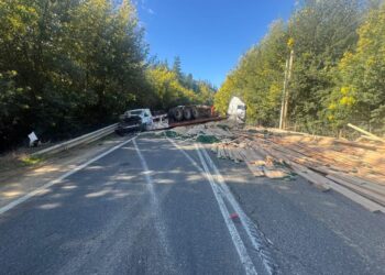 Accidente serio en la ruta L-30-M: un camión de transporte de madera colisiona con un auto particular a la altura de Nirivilo.