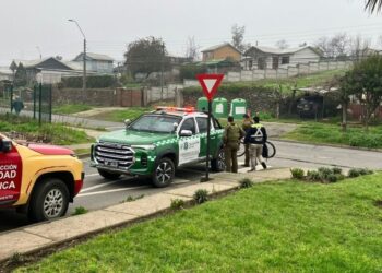 Un delincuente atacó a un menor mientras se dirigía a su colegio en Nacimiento.