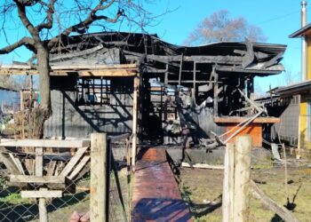 Comunidad de Quilleco lanza campaña para ayudar a familia que quedó sin hogar tras incendio en Villa Mercedes.