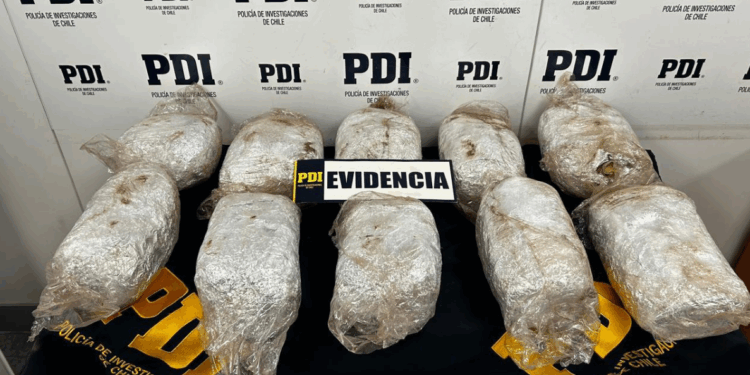 Corte de Coyhaique ratifica la prisión preventiva de un cabo del Ejército acusado de tráfico de marihuana en Puerto Aysén.