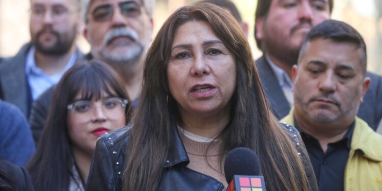 «Tía Pikachu» aspira a obtener un escaño en la Cámara por el distrito 12, con el apoyo del pacto entre FRVS y AH.