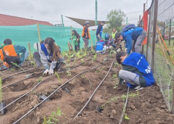 Cuidado con “Manitos de Ángel”: se arma bosque de bolsillo en jardín infantil de Calera de Tango.