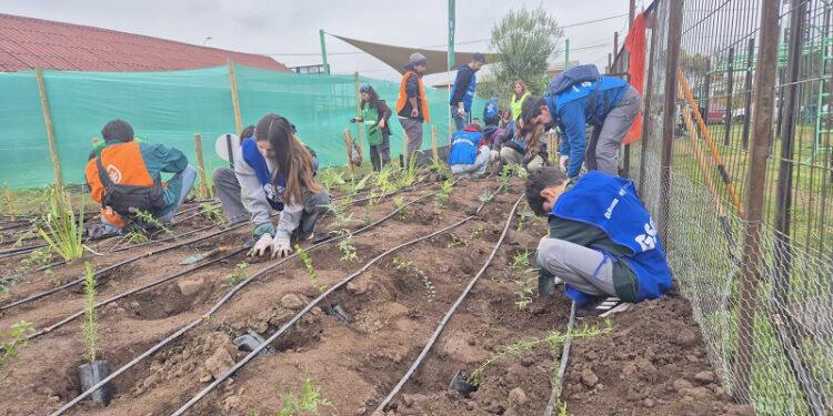 Cuidado con “Manitos de Ángel”: se arma bosque de bolsillo en jardín infantil de Calera de Tango.