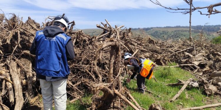 Superintendencia presenta cargos contra el proyecto de concesión del «Camino de La Fruta» debido a incumplimientos ambientales.