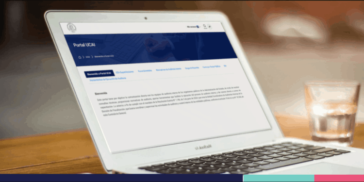 Portal de Auditorías Internas del Estado