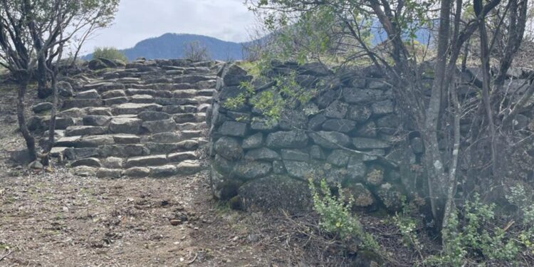 El imponente Ballenar: el tesoro de Antuco que fue vendido alguna vez como parcela.