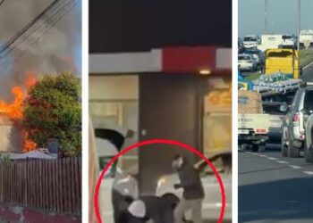 Resumen semanal de noticias de Chicureo al día