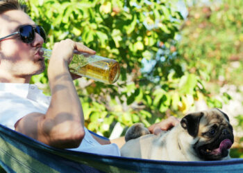 Celebra el Día de la Cerveza con la temperatura ideal, ¡pero desde la casa!