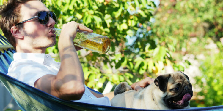 Celebra el Día de la Cerveza con la temperatura ideal, ¡pero desde la casa!