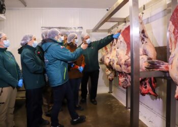 Ministerio de Agricultura intensifica la fiscalización del SAG.