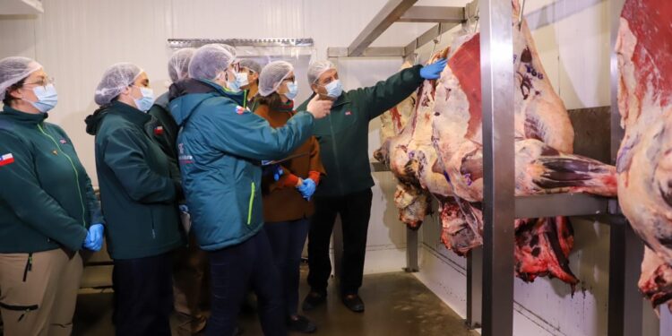 Ministerio de Agricultura intensifica la fiscalización del SAG.