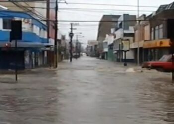 La memoria de la devastadora inundación que azotó a Los Ángeles, causando miles de afectados.
