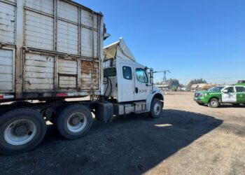 Conductor arrestado tras atropellar a ciclista en Los Ángeles: el herido está en estado crítico.