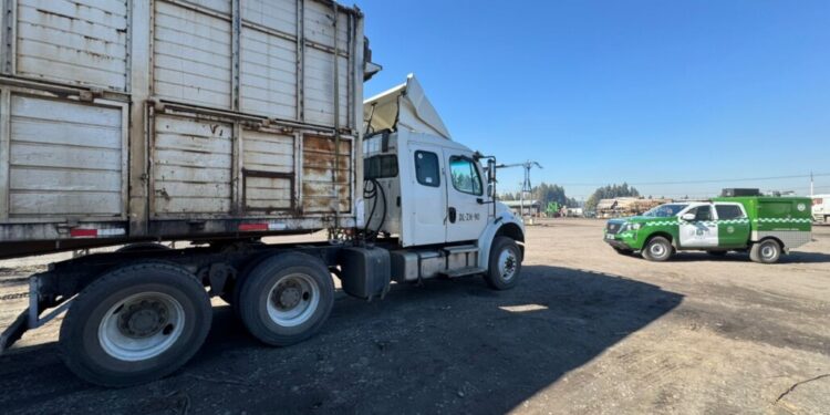 Conductor arrestado tras atropellar a ciclista en Los Ángeles: el herido está en estado crítico.