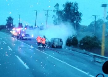 Vehículo quedó totalmente destruido tras un incendio en la Ruta 5 Sur, cerca de Los Ángeles.