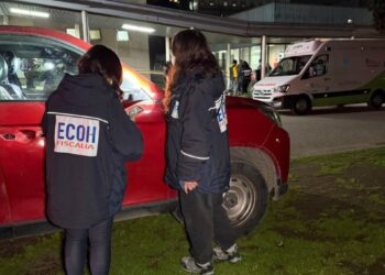 Enfrentamiento a balazos culmina con la muerte de un hombre de 27 años en La Pintana.