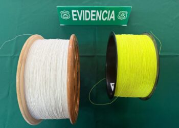 San Clemente: arrestan al primer acusado del año por uso de hilo curado a menos de un mes de las Fiestas Patrias.