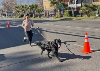 La Reina conmemoró el «Día de la Niñez y su Mascota».
