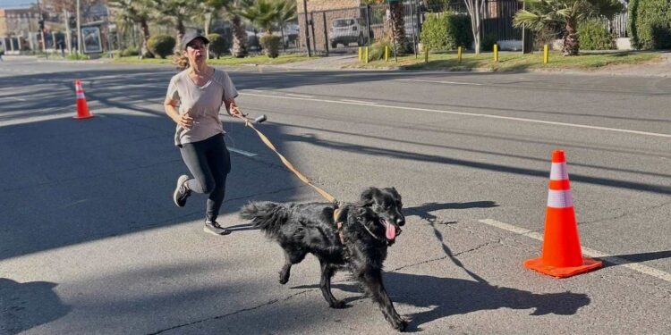 La Reina conmemoró el «Día de la Niñez y su Mascota».