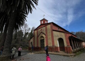 El Día de Vilches 2025 deslumbró con su cultura y naturaleza en San Clemente.