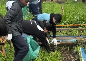 Santa Marta y Kyklos promueven la educación ambiental inclusiva en Lo Herrera.