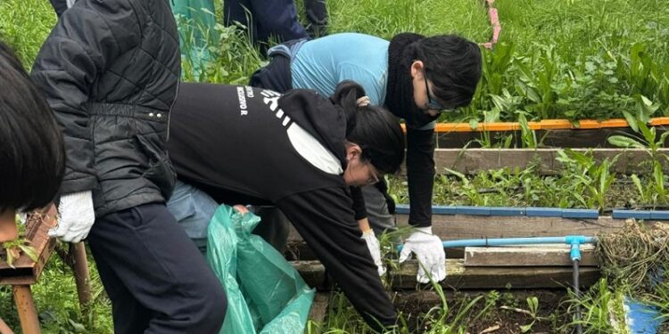 Santa Marta y Kyklos promueven la educación ambiental inclusiva en Lo Herrera.