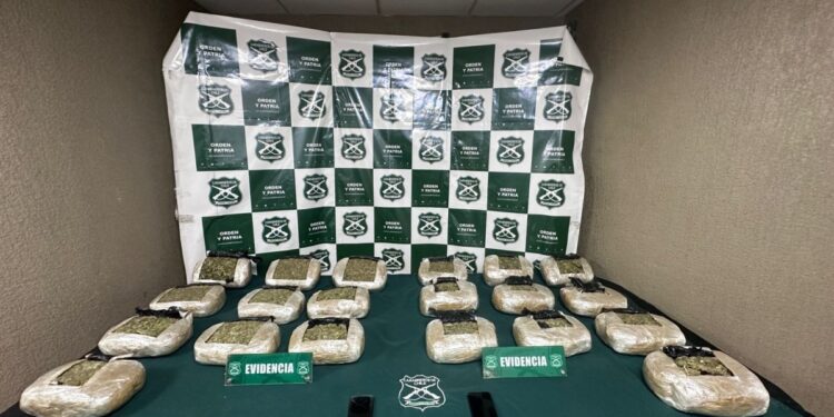 Cerca de 70 kilos de droga fueron incautados en operativos en Viña del Mar y Nogales: cinco detenidos.
