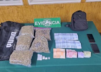 Capturan a una pareja tras chocar contra un árbol al evadir un control policial en Paillaco: deshicieron un bolso con droga.