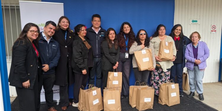 Viña del Mar lanza su primer Ecomercado Solidario: suministran productos esenciales a familias en situación de vulnerabilidad.