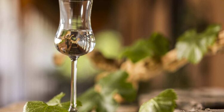 “Puro Pisco” llega al MUT ¡con entrada gratis!