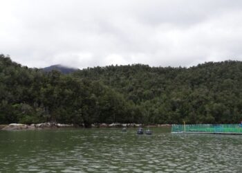 La Superintendencia del Medio Ambiente ha ordenado el cierre de dos centros de salmonicultura canadienses en Aysén.
