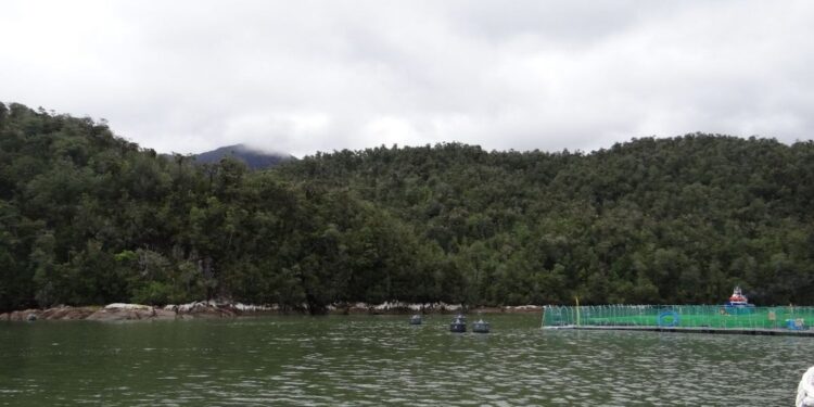 La Superintendencia del Medio Ambiente ha ordenado el cierre de dos centros de salmonicultura canadienses en Aysén.