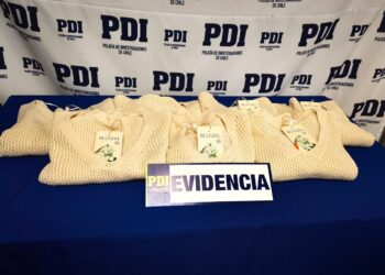 Detective en tiempo libre detiene intento de robo en Linares: un adolescente fue arrestado por sustraer ropa.