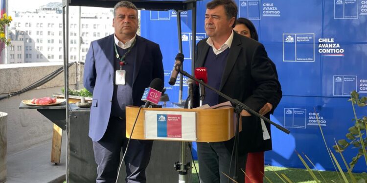 Bajan los precios de frutas y verduras en Chile.