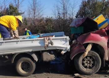 Accidente de un camión cargado de abejas provocó heridos y picaduras en Santa Bárbara.
