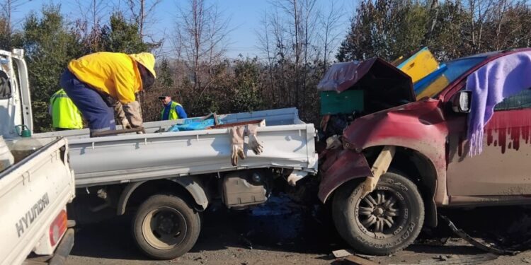 Accidente de un camión cargado de abejas provocó heridos y picaduras en Santa Bárbara.