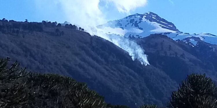 Se emite Alerta Roja en Alto Biobío por incendio forestal próximo a la Reserva Nacional Ralco.