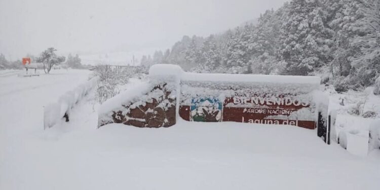 Parque Nacional Laguna del Laja permanecerá cerrado hasta el domingo debido a fuertes nevadas en Antuco.