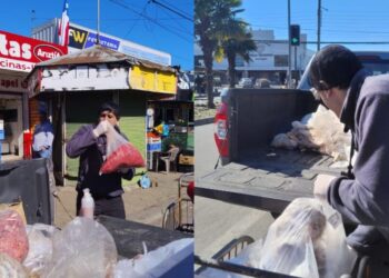 Fiscalizaciones antes de Fiestas Patrias resultan en la incautación de más de 300 kilos de carne en la Provincia del Biobío.