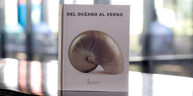 Caracolas de Neruda dan vida a nuevo libro bilingüe de la U. de Chile.