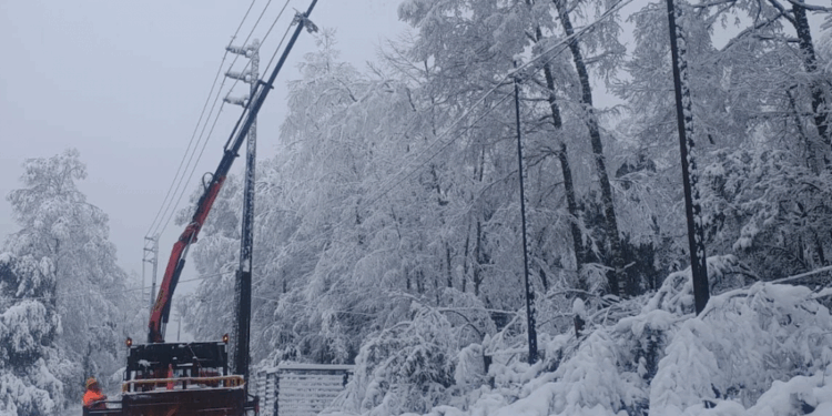 CGE moviliza brigadas de gran capacidad para restablecer el suministro en la Zona Lacustre – LAVOZDEPUCON
