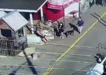 Mujer se lleva a su recién nacida sin permiso desde el Hospital de Coronel.