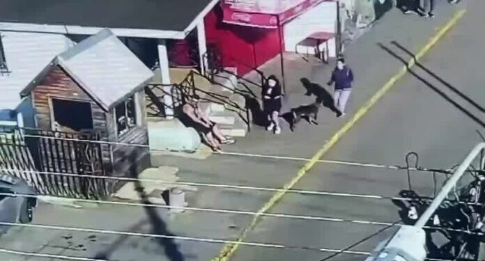 Mujer se lleva a su recién nacida sin permiso desde el Hospital de Coronel.