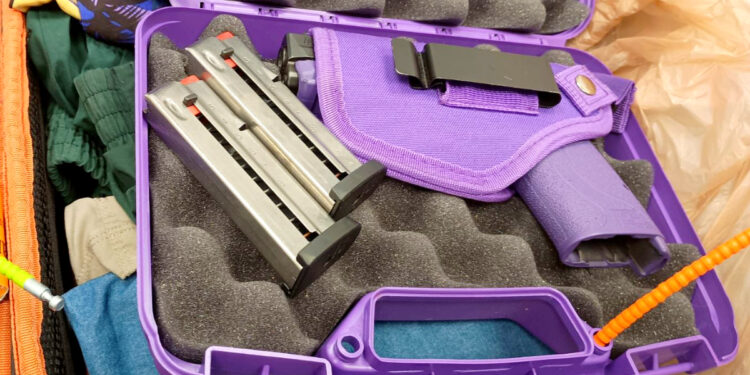 Dos estadounidenses fueron arrestadas en el Aeropuerto de Santiago por llevar dos armas, municiones y marihuana.