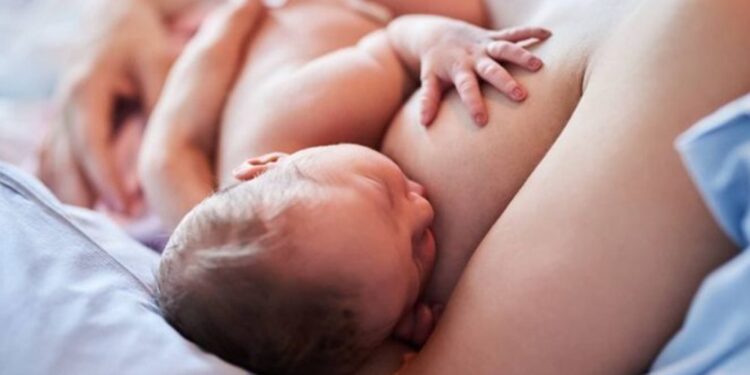 Un tributo lleno de conocimiento y dedicación – LAVOZDEPUCON