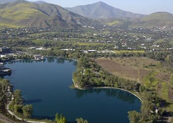 ¿Tala a lo loco o intervención con permiso? Debate por faenas en el sector de Piedra Roja en Chicureo.