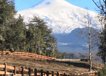 Siete denuncias en el último mes por terrenos no entregados en Los Nevados – LAVOZDEPUCON